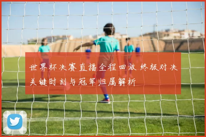 世界杯决赛直播全程回放 终极对决关键时刻与冠军归属解析
