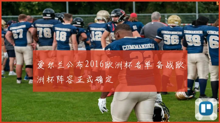 爱尔兰公布2016欧洲杯名单 备战欧洲杯阵容正式确定