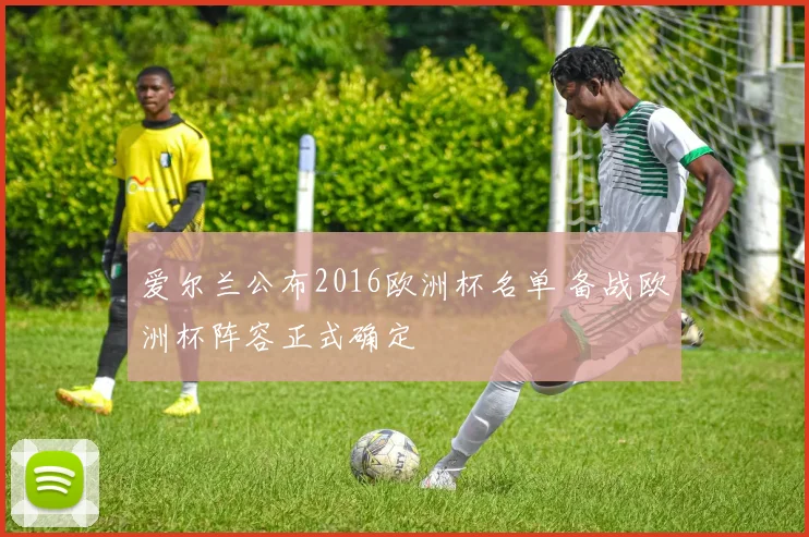 爱尔兰公布2016欧洲杯名单 备战欧洲杯阵容正式确定
