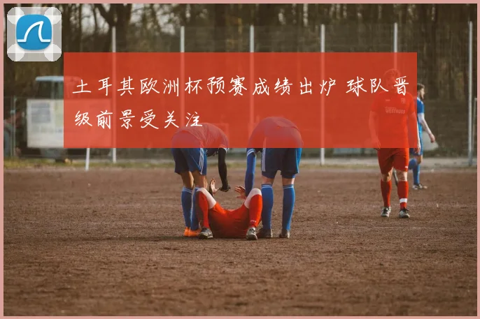 土耳其欧洲杯预赛成绩出炉 球队晋级前景受关注